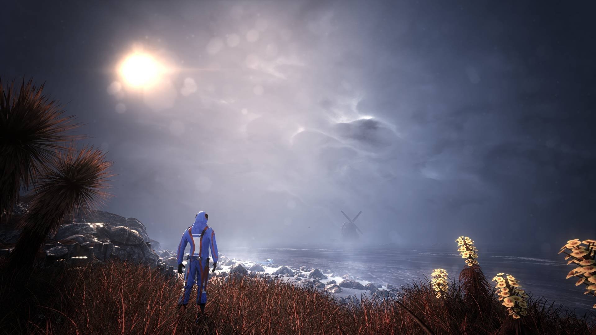 The Solus Project